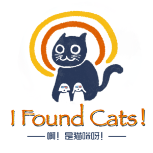啊！是猫咪呀
