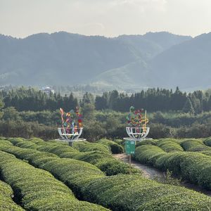 浮梁-景德镇之二：回不去的地方叫家乡