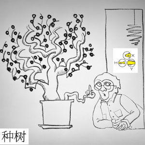 37. 种树种花