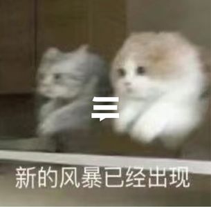 05-有什么很霸气的APP名