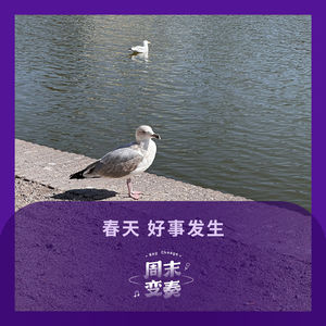 春天来了，总感觉有些好事在隐隐跳动