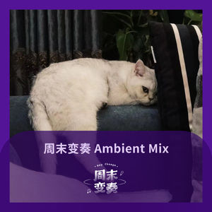 怀表漂浮在毫无戒备的灵魂头顶丨Ambient Mix