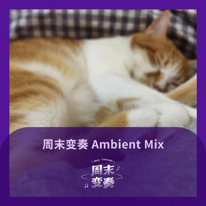 如果你在做梦，不要醒来丨Ambient Mix