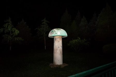 19. 谁会为了北京蘑菇，去做一本奇奇奇怪的艺术书？ft.postpost