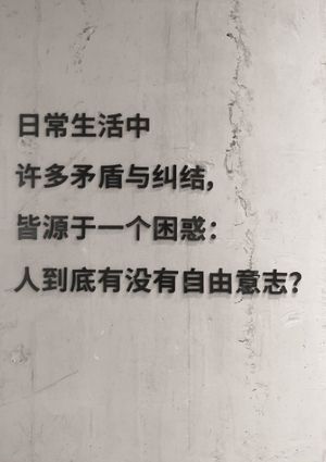 对话“神兽之间”｜ 一家疫情开业的独立书店，如何在上海活下来？