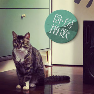 蝉，无尽的夏日，泳池补完Mixtape