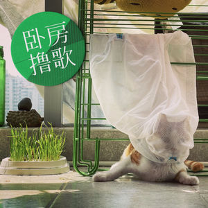 怀念卢凯彤（上）惨绿青年，诚心祝福你捱得到新天地