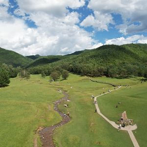 肥瘦加糖配咸柠七 feat 曹柠在鹤岗