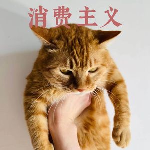 重新发现快乐：上班不开心，放假也不开心