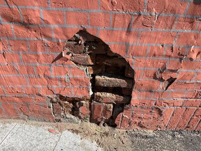 Dongbei can’t be f**ked with