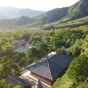 Episode 33: 佛光寺满地的野生大麻:感性佛光寺(上)