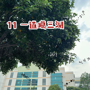 11｜在江南一道噶三湖，十九年后第一次站在我的小学校门口