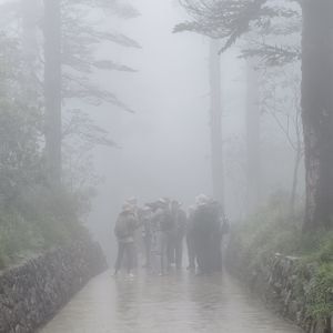 2 鸻旅鹇聊｜奇袭瓦屋山