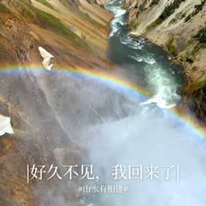 好久不见，我回来了