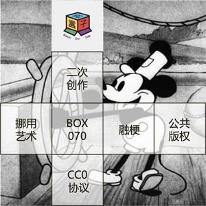 Box.070 版权世界里的保镖，刺客与流氓