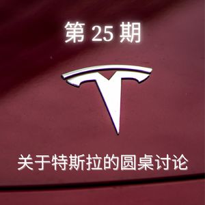 第 25 期：关于特斯拉的圆桌讨论