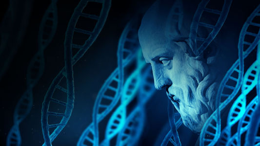 Plato’s Revenge: An Interview with David Klinghoffer