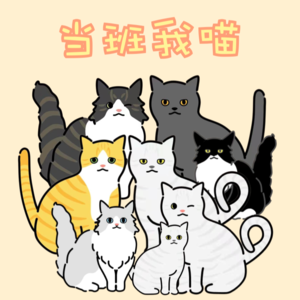 003 当我加班的时候，我在想我的猫（上）