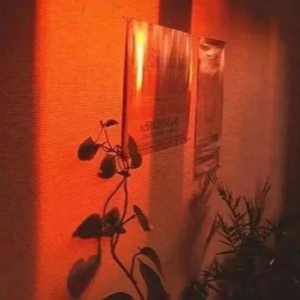 青春,有一丝慌乱