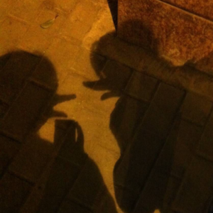 Vol.17 朋友，愿我们的友谊白头偕老