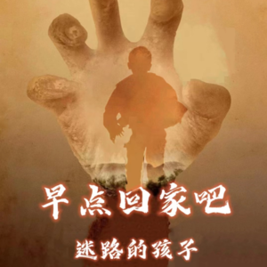 《14年漫漫寻子路——愿迷路的孩子都能回家》