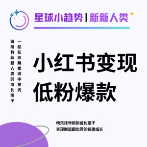 Vol.27 在小红书, 低粉爆款如何变现六位数