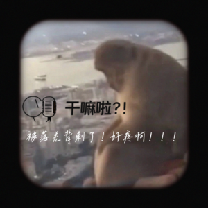 78 干嘛啦？被落差背刺了！好疼啊！|心理价位工作生活感情处处都是落差
