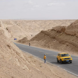 Vol.01｜从新能源到保险行业：放手去做，反正都会后悔