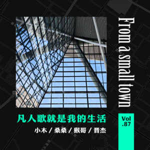 cover of episode Vol.87 小镇青年北漂有感，《凡人歌》拍的就是我的生活