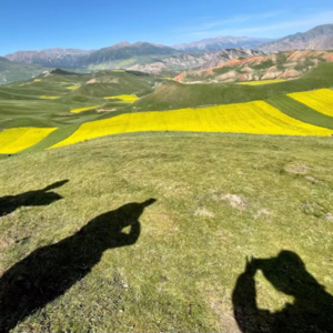 啊哈，人生下半场还“有戏” ？