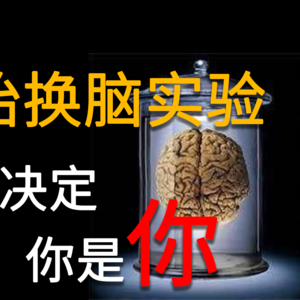 【捕月说】vol.017 裂脑人的半脑人格，是什么界定着“你”？