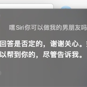 漫谈，用Chat GPT实现理想爱情