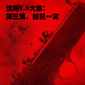 沈阳3.8大案：第三集，蛇鼠一窝
