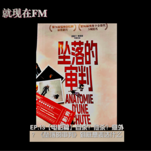 EP.13【观影篇】《坠落的审判》到底想表达什么?