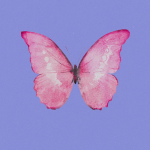 S3EP04 录播前 我在你的脑子里大概占多少库存啊？