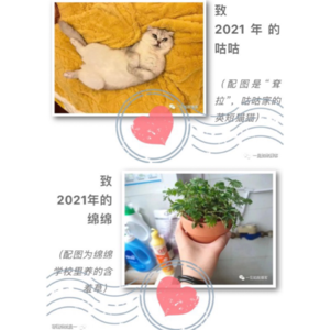 001/年末特辑:人生为什么不能一退再退