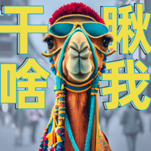020|富贵包传说