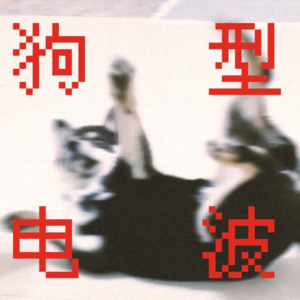 跟着《基本无害》的新年特辑1