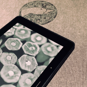 EP37 | Kindle退出于乱纪元前夜,致曾相处过的时光