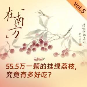Vol.20 55.5万一颗的挂绿荔枝，究竟有多好吃？