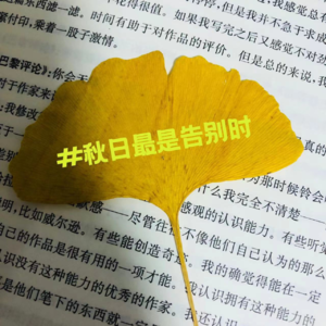 71 秋日最是告别时