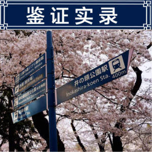 05.日版南大碎尸案：井之头公园碎尸案