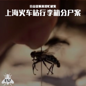 E57 目击证蝇来帮忙破案：上海火车站行李箱分尸案