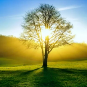 2024.4.8 未被满足的需求幻觉