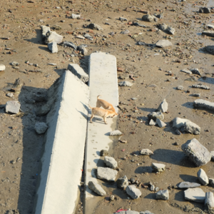 vol.03 “人一旦年过八十，就没有理由抱怨死得太早”