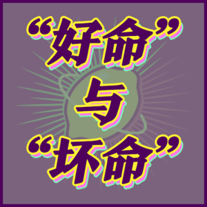 命理师眼中的“好命、坏命”|001-玄学宇宙漫游🌌