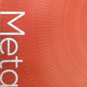 S4E13 心智DAO第73期 老年心智成年整合服务 梁健玲✖️张巍