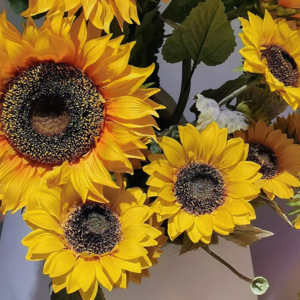 VOL39.梁导来成都啦！人知太守游而乐，不知太守之乐其乐也。