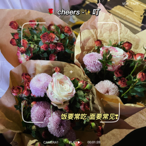 【第29期】碎嘴子年终总结