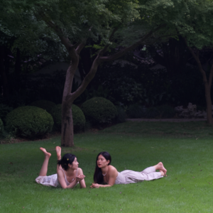 公园树下，想在这里跟你见面